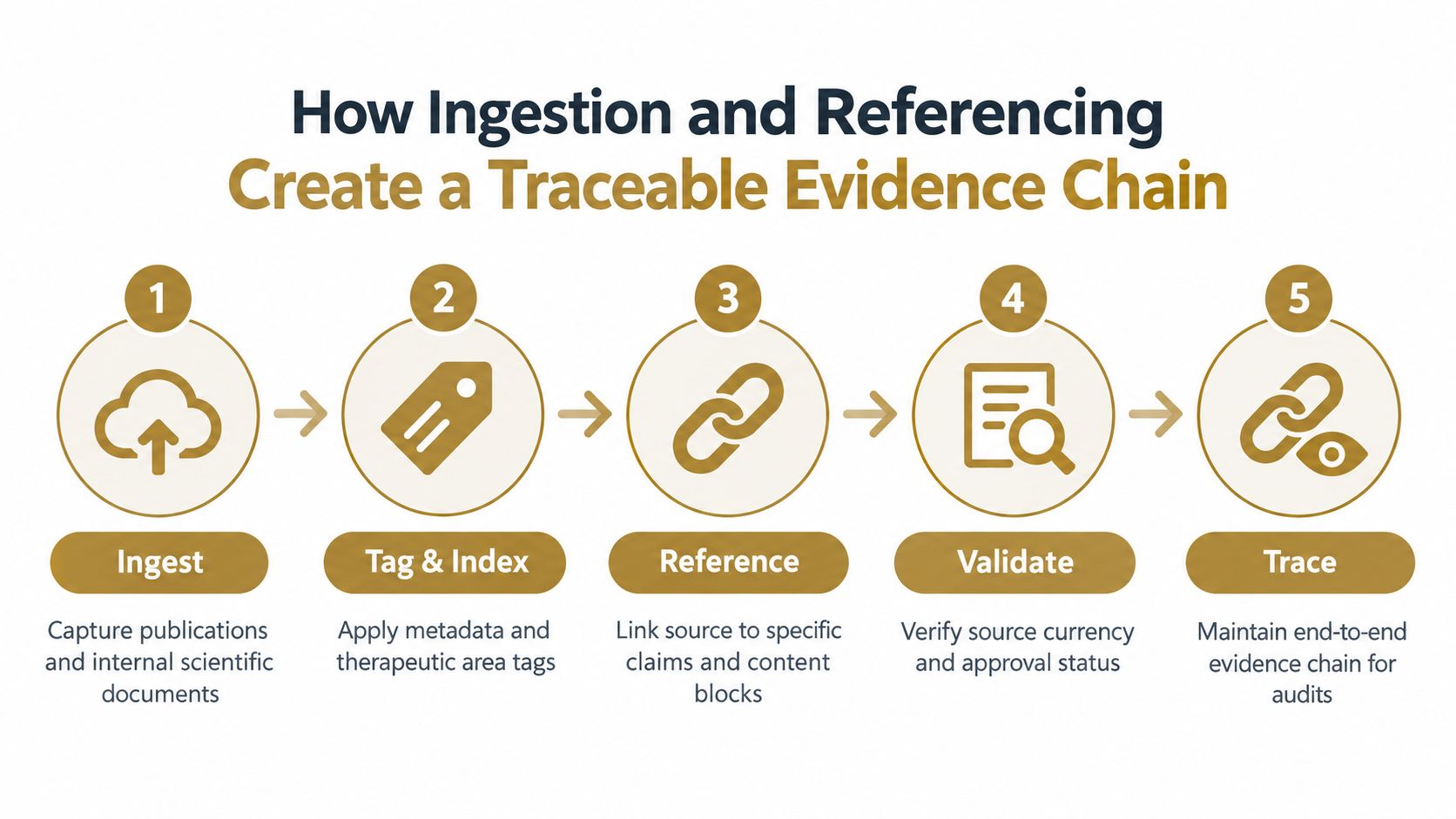 A five-step infographic showing the process of ingestion, tagging, referencing, validation, and tracing scientific evidence documents.